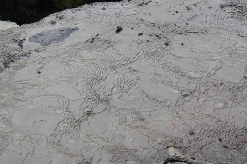 Nieuw-Zeeland 2011 - 0766